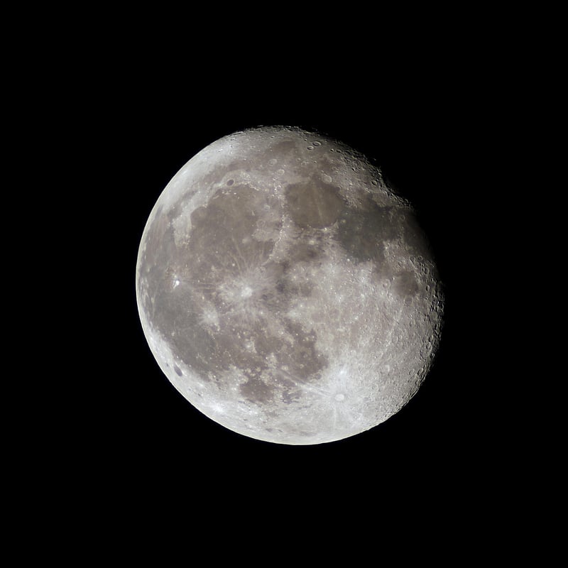 Lunar Festivities